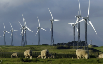 El Gobierno de Nueva Zelanda ha creado un fondo de 1.200 millones de dólares para promover la generación de energía 100% renovable